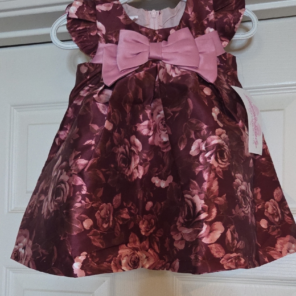 Bonnie Baby Pink and Burgundy Dress